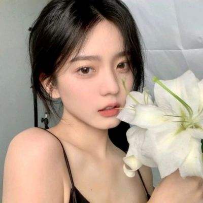 爆乳后宫团游戏下载